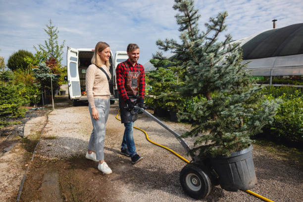 Best Seasonal Cleanup (Spring/Fall)  in Anamosa, IA